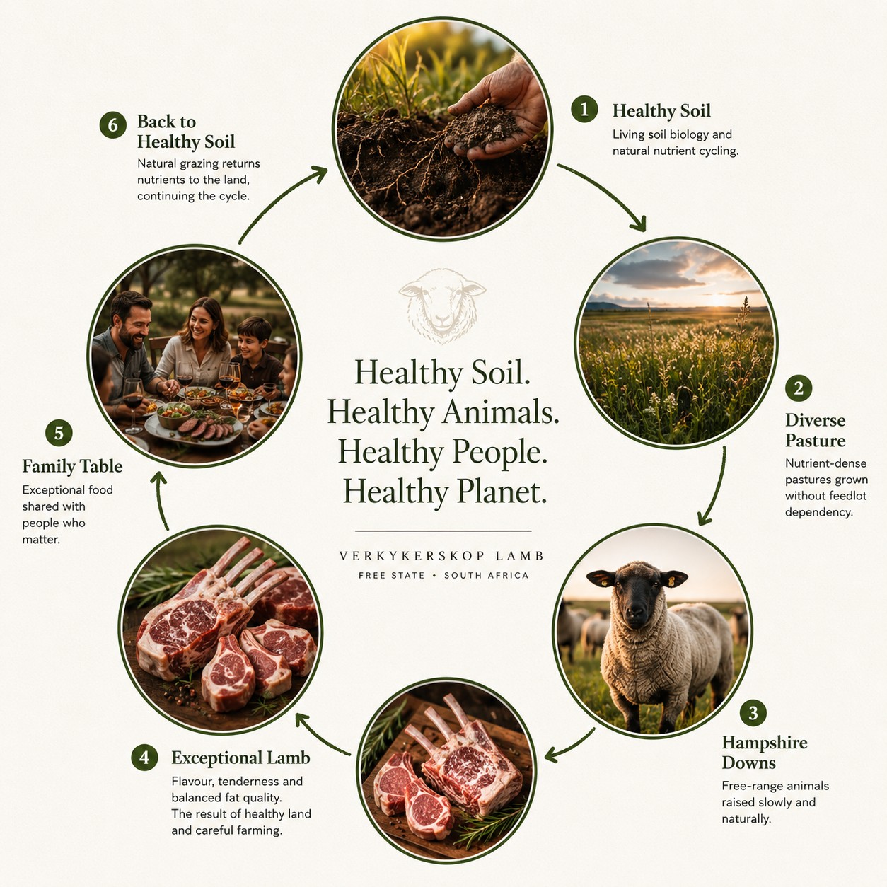 The regenerative cycle: healthy soil, diverse pasture, Hampshire Downs sheep, exceptional lamb, family table